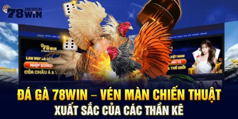 Đá Gà 78win - Vén Màn Chiến Thuật Xuất Sắc Của Các Thần Kê