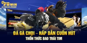 Đá Gà Chọi – Hấp Dẫn Cuốn Hút Thổn Thức Bao Trái Tim