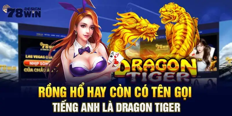 Rồng Hổ hay còn có tên gọi Tiếng Anh là Dragon Tiger