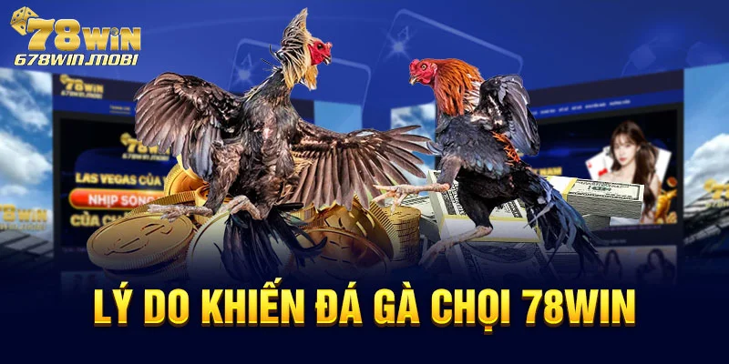 Lý do khiến đá gà chọi 78win hấp dẫn người chơi