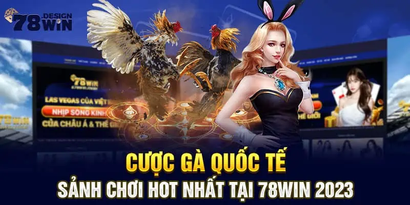 Cược gà quốc tế - Sảnh chơi Hot nhất tại 78win 2023