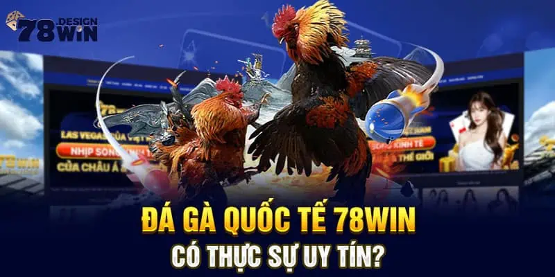 Đá gà quốc tế 78win có thực sự uy tín?