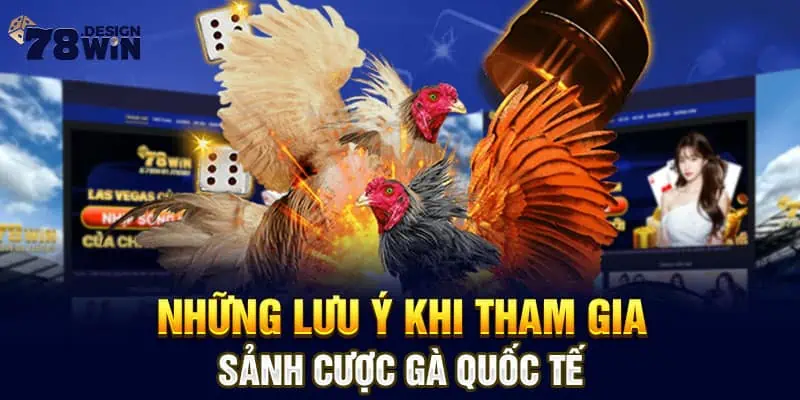 Những lưu ý khi tham gia sảnh cược gà quốc tế