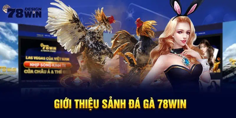 Giới thiệu sảnh đá gà 78win