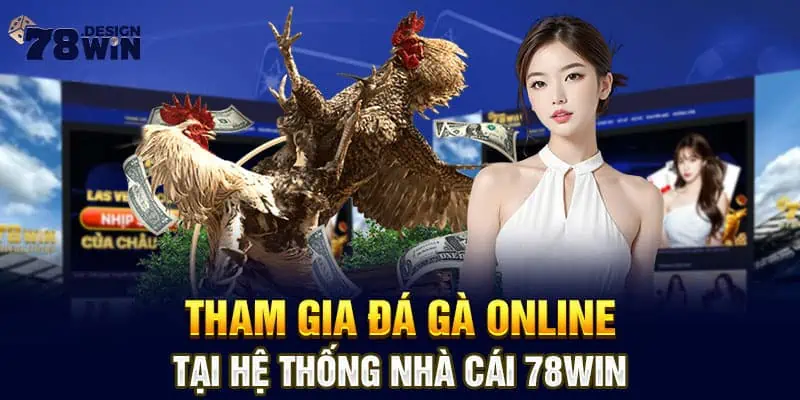 Tham gia đá gà online tại hệ thống nhà cái 78win