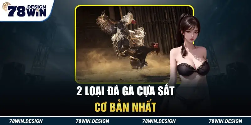 2 Loại đá gà cựa sắt cơ bản nhất